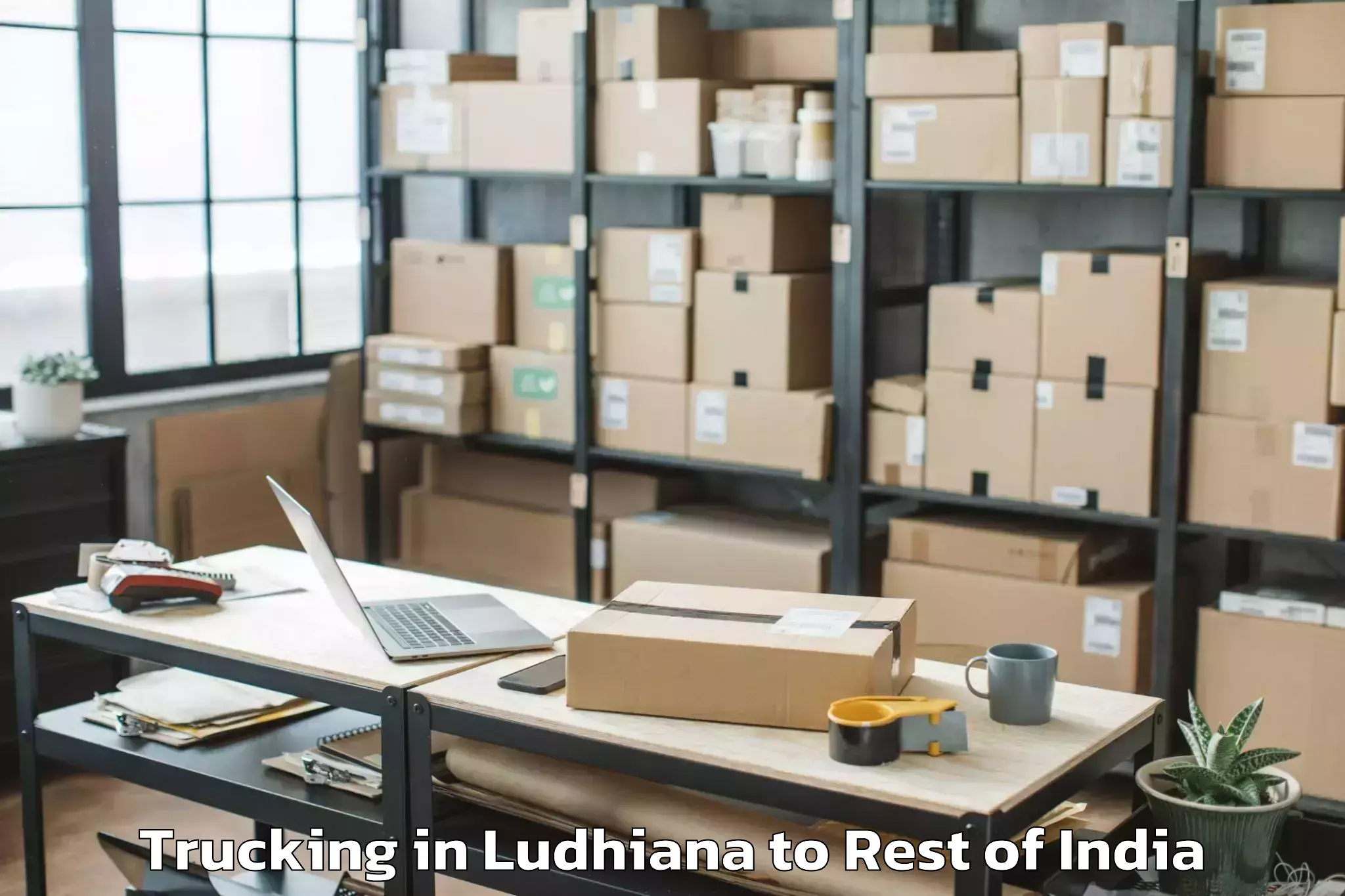 Top Ludhiana to Kebang Trucking Available